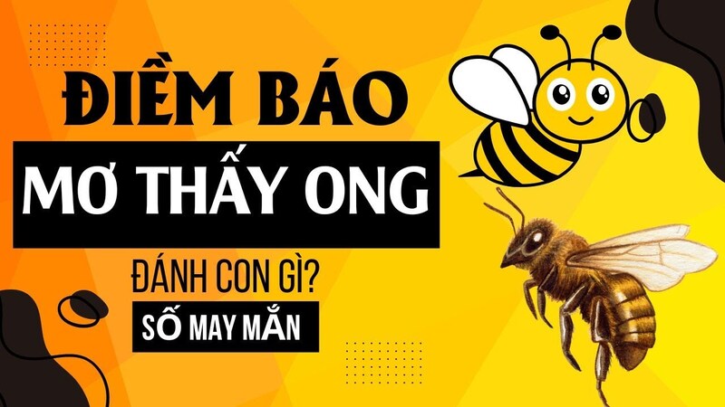 Tìm hiểu ý nghĩa của giấc mơ thấy ong và những con số may mắn